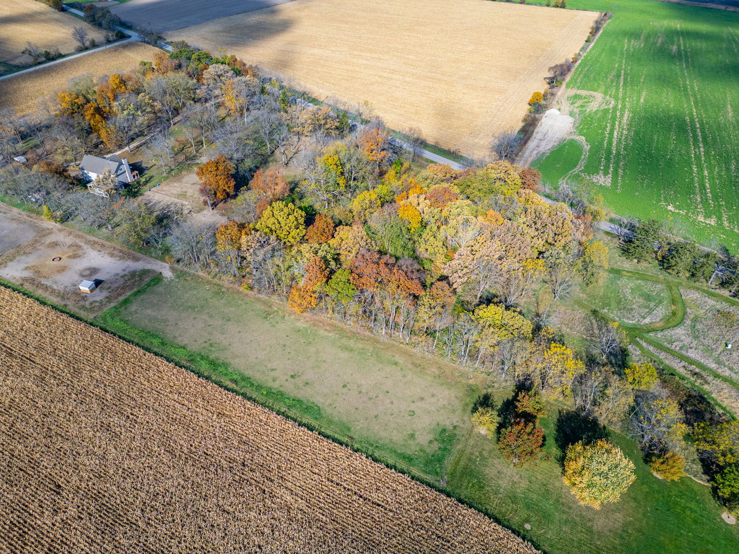 X North Boone School Road Poplar Grove, IL 61065 - Photo 10 of 20 a view of a garden with a lake view