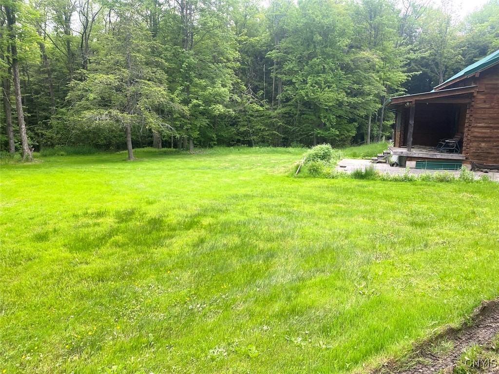 3656 Putt-Brook Ward, NY 14880 - Photo 24 of 35