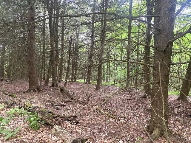 $399,900 | 3656 Putt-Brook, Ward, NY 14880