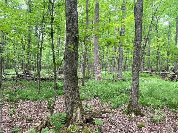 $399,900 | 3656 Putt-Brook, Ward, NY 14880