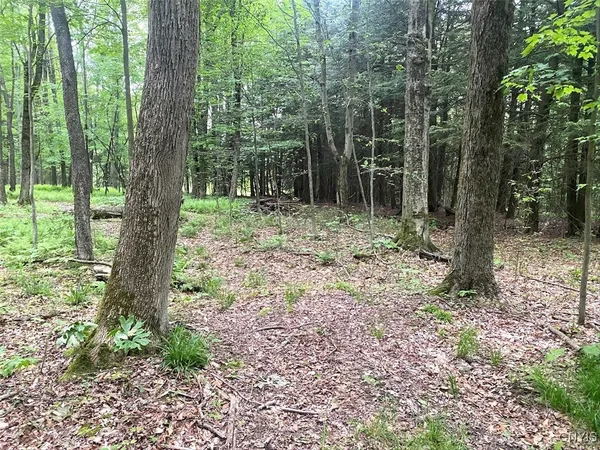 $399,900 | 3656 Putt-Brook, Ward, NY 14880