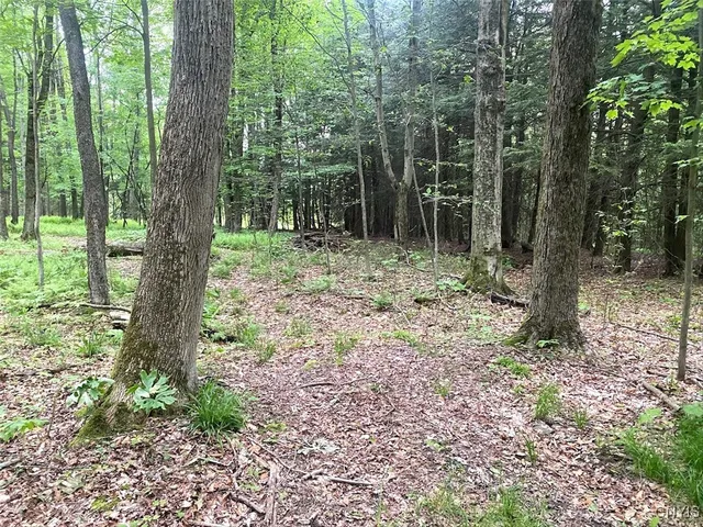 $399,900 | 3656 Putt-Brook, Ward, NY 14880