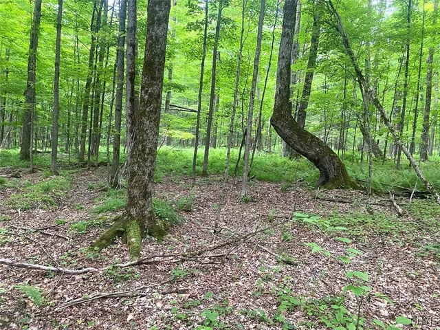 $399,900 | 3656 Putt-Brook, Ward, NY 14880