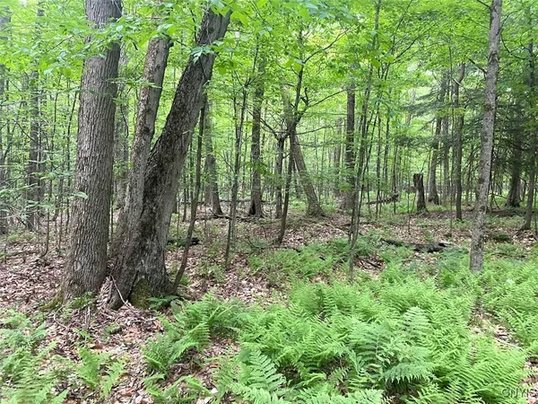 $399,900 | 3656 Putt-Brook, Ward, NY 14880