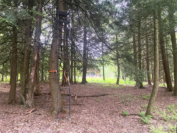 $399,900 | 3656 Putt-Brook, Ward, NY 14880