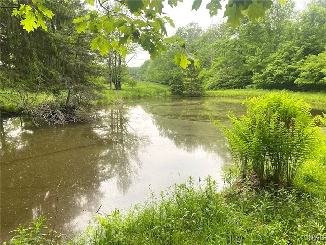 $399,900 | 3656 Putt-Brook, Ward, NY 14880