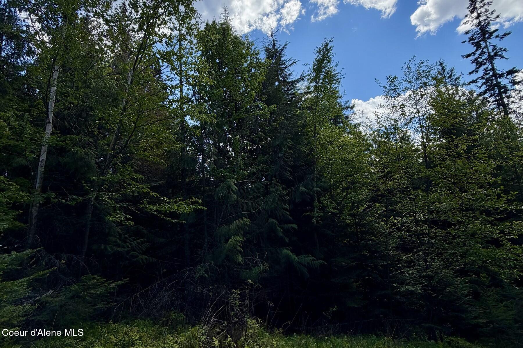Nna Lot 4 Nna Road Sagle, ID 83860 - Photo 33 of 36 033_IMG_1443