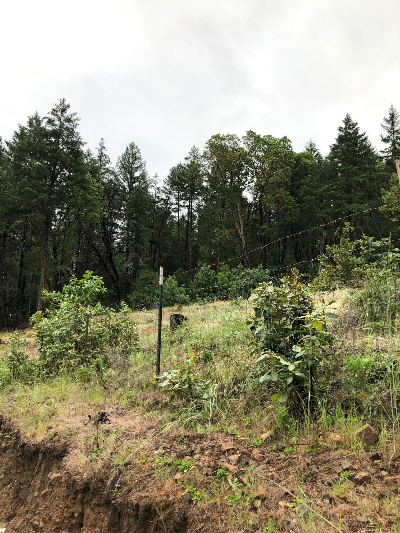 1665 Southside Road Grants Pass, OR 97527 - Photo 3 of 4 Pic 1