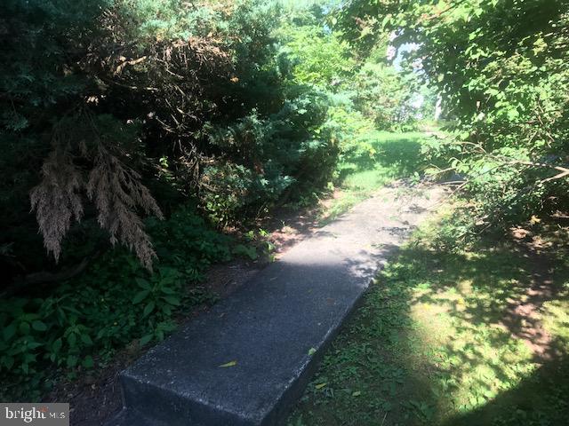 74 Headquarters Road Erwinna, PA 18920 - Photo 7 of 16 Path