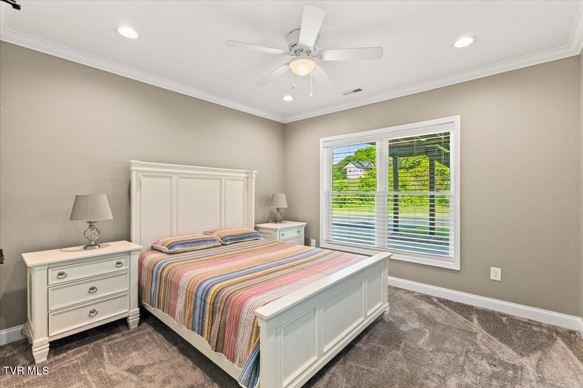 563 Mayberry Road Jonesborough, TN 37659 - Photo 64 of 95 62-128A7520