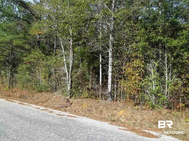 962 West State Line Road Flomaton, AL 36441 - Photo 11 of 16