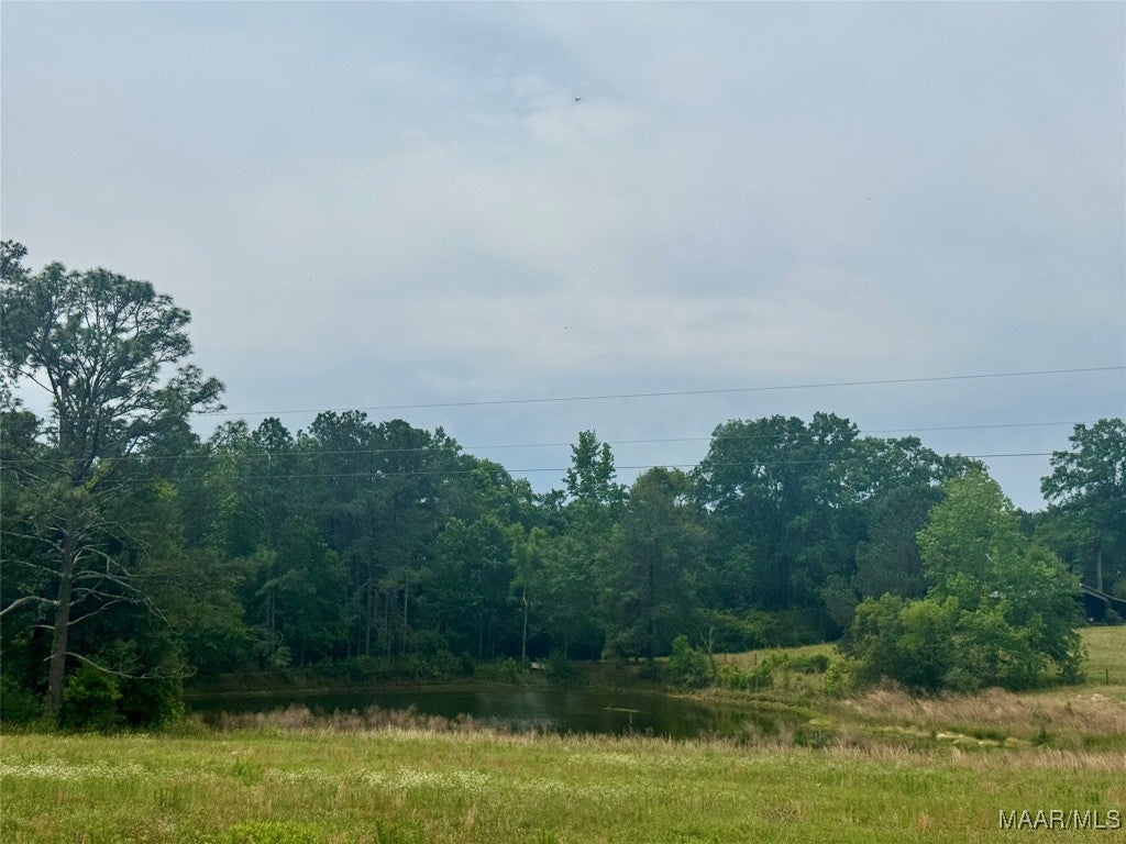 29990 Straughn School Road Andalusia, AL 36421 - Photo 28 of 37 Gallery Image 28