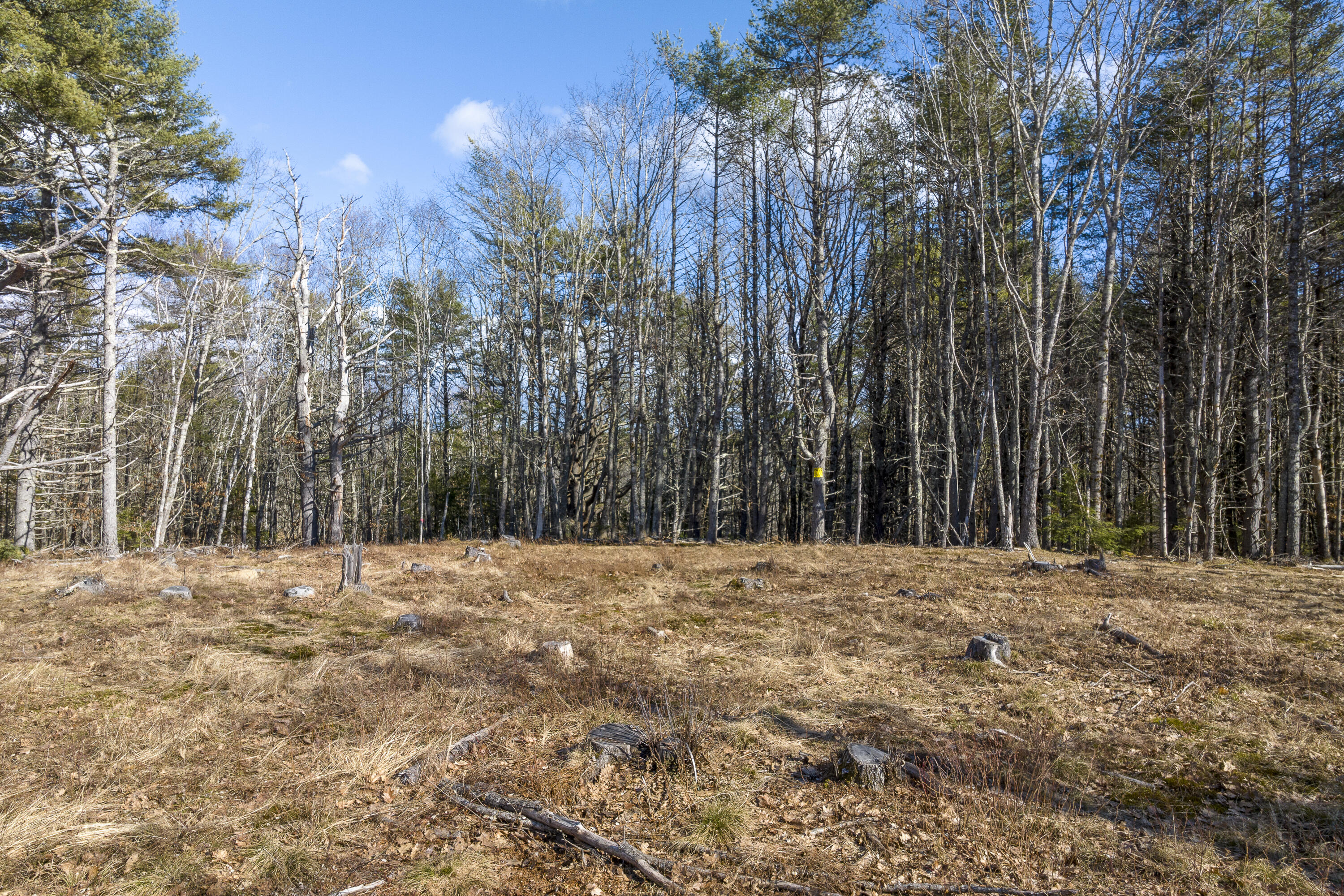 Map10-lot5 Benner Road Bristol, ME 04539 - Photo 14 of 21 20-261 Benner Rd, Bristol, ME-TP