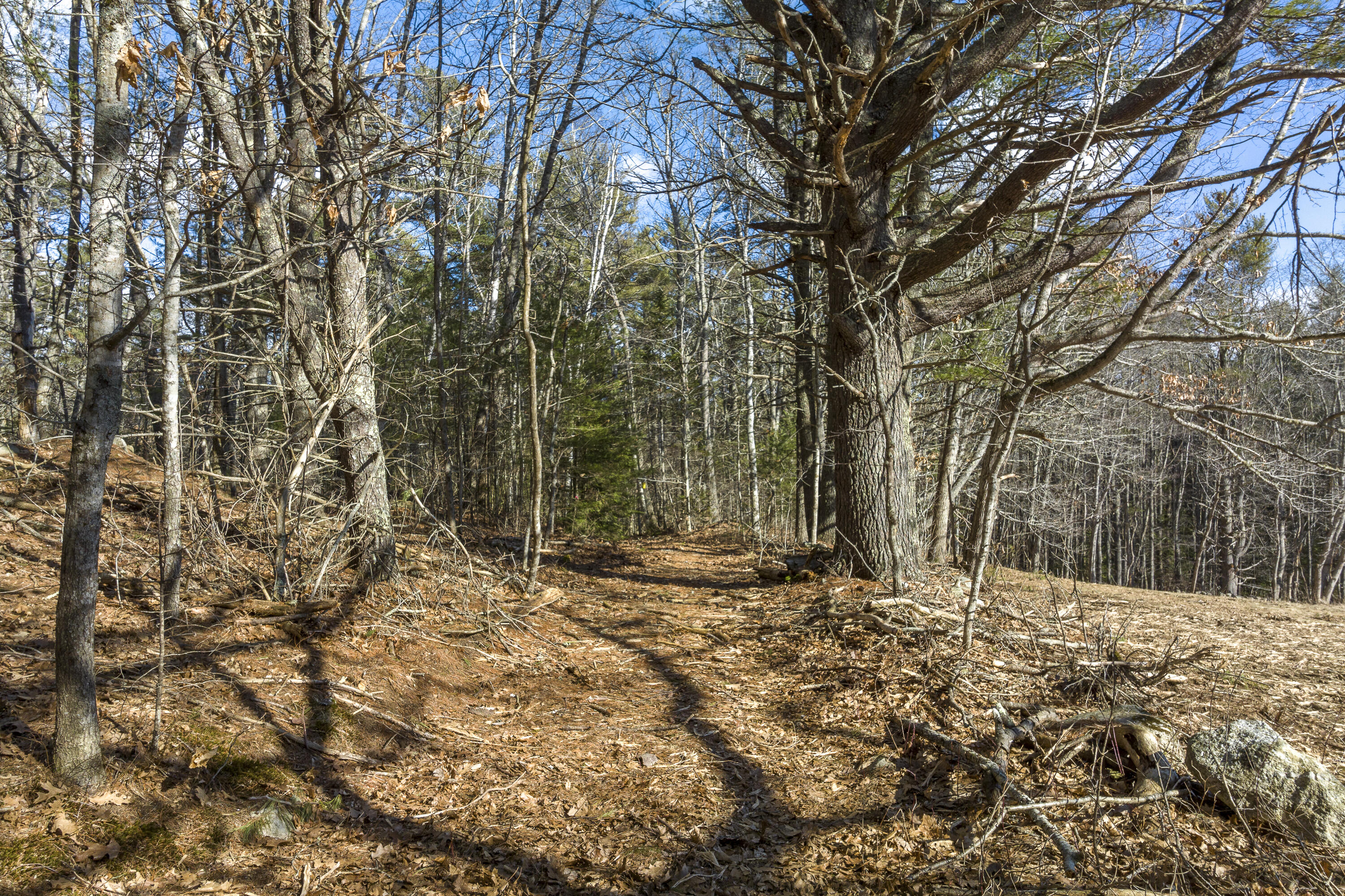 Map10-lot5 Benner Road Bristol, ME 04539 - Photo 15 of 21 21-261 Benner Rd, Bristol, ME-TP