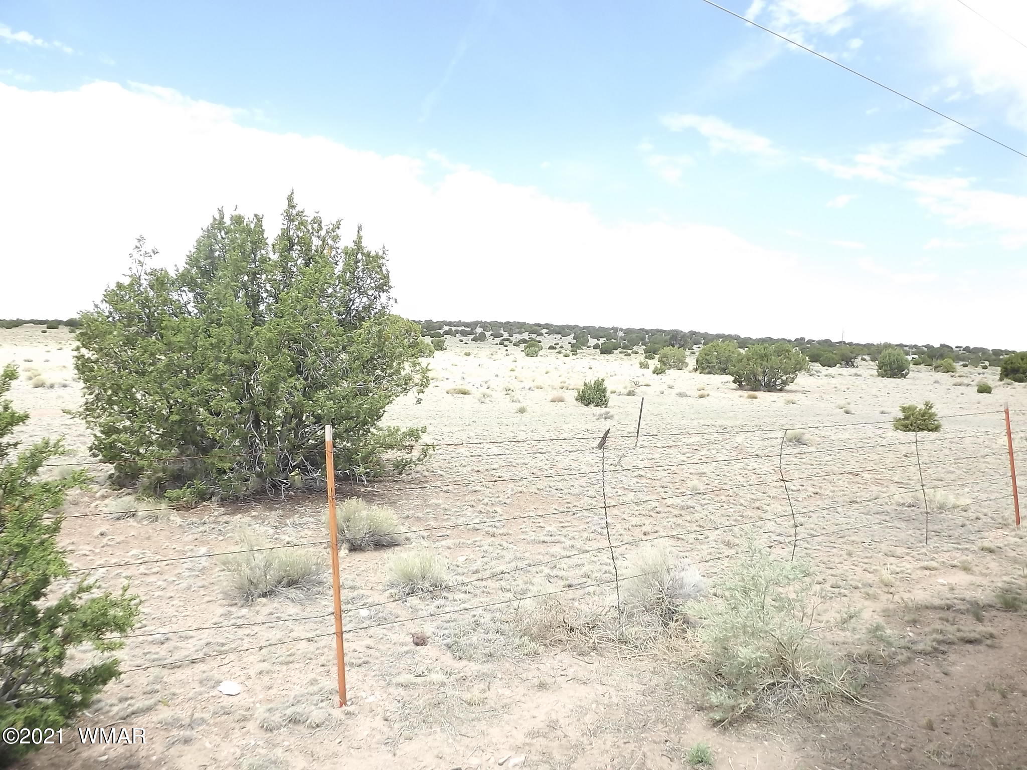 39 County Road Concho, AZ 85924 - Photo 17 of 18