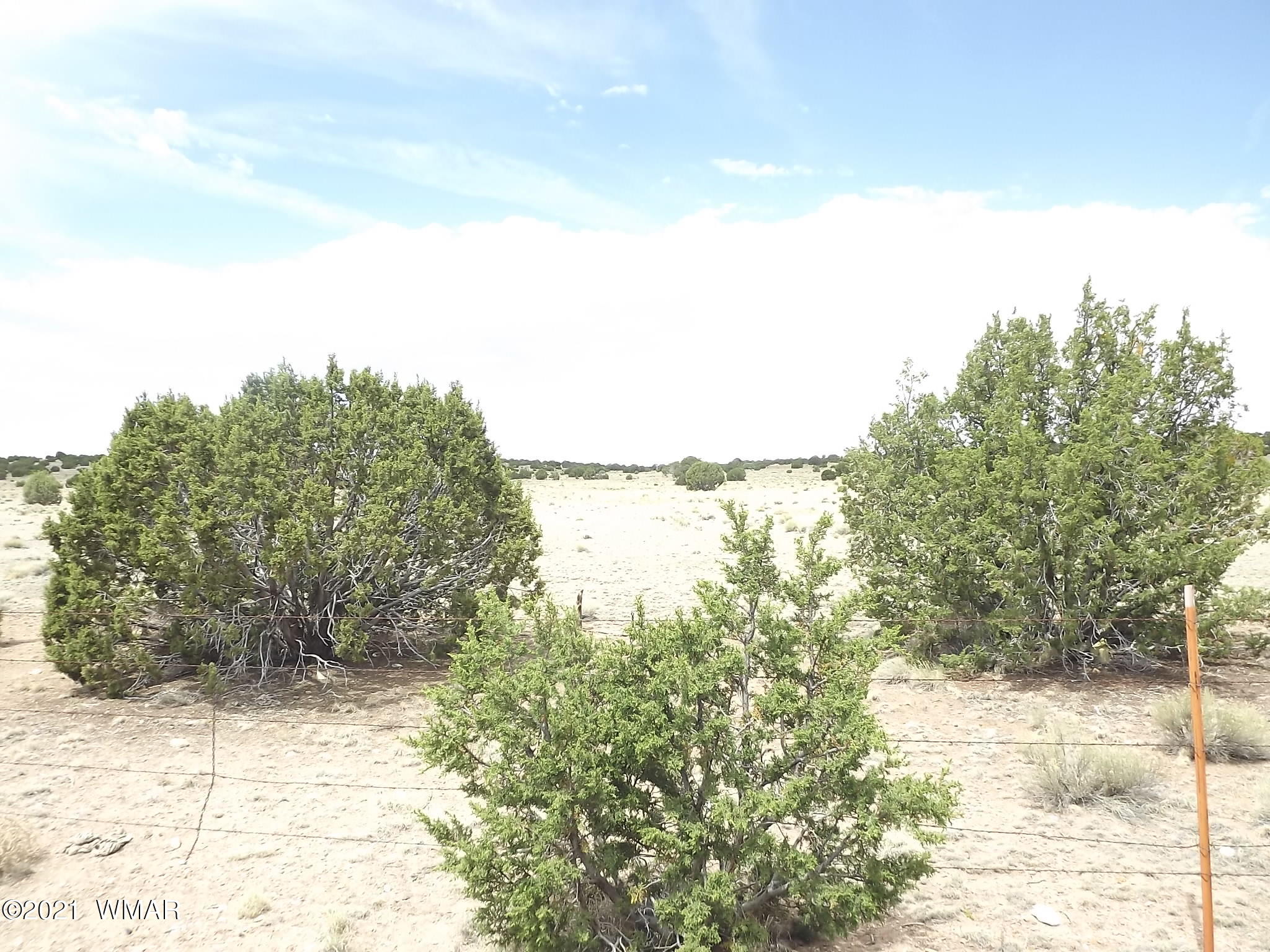 39 County Road Concho, AZ 85924 - Photo 18 of 18