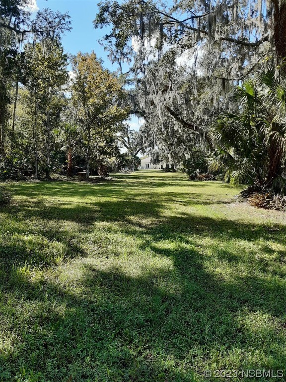 1780 Old Mission Road Edgewater, FL 32132 - Photo 38 of 55 a big yard with lots of green space and trees