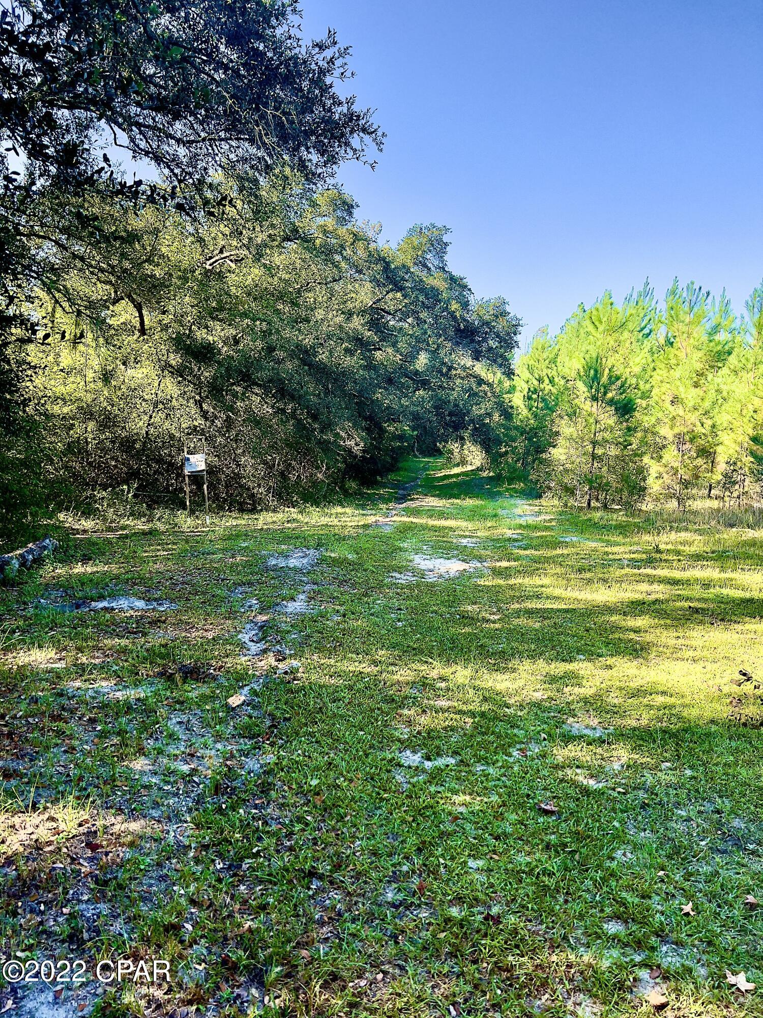 0 Cherry Road Grand Ridge, FL 32442 - Photo 15 of 17 Gallery Image 15