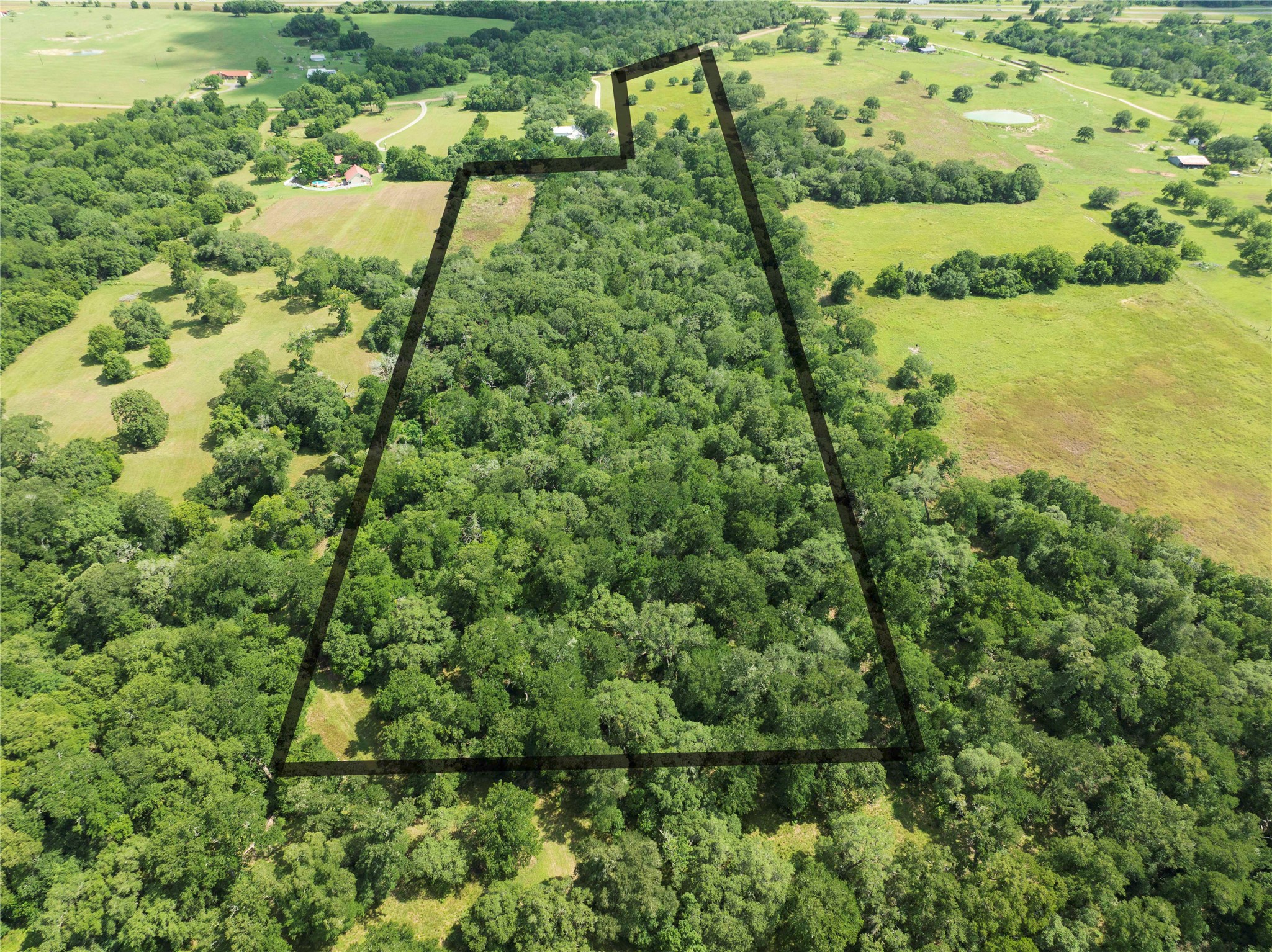 0 Hranicky Road Schulenburg, TX 78956 - Photo 5 of 19 a view of a garden with a lake