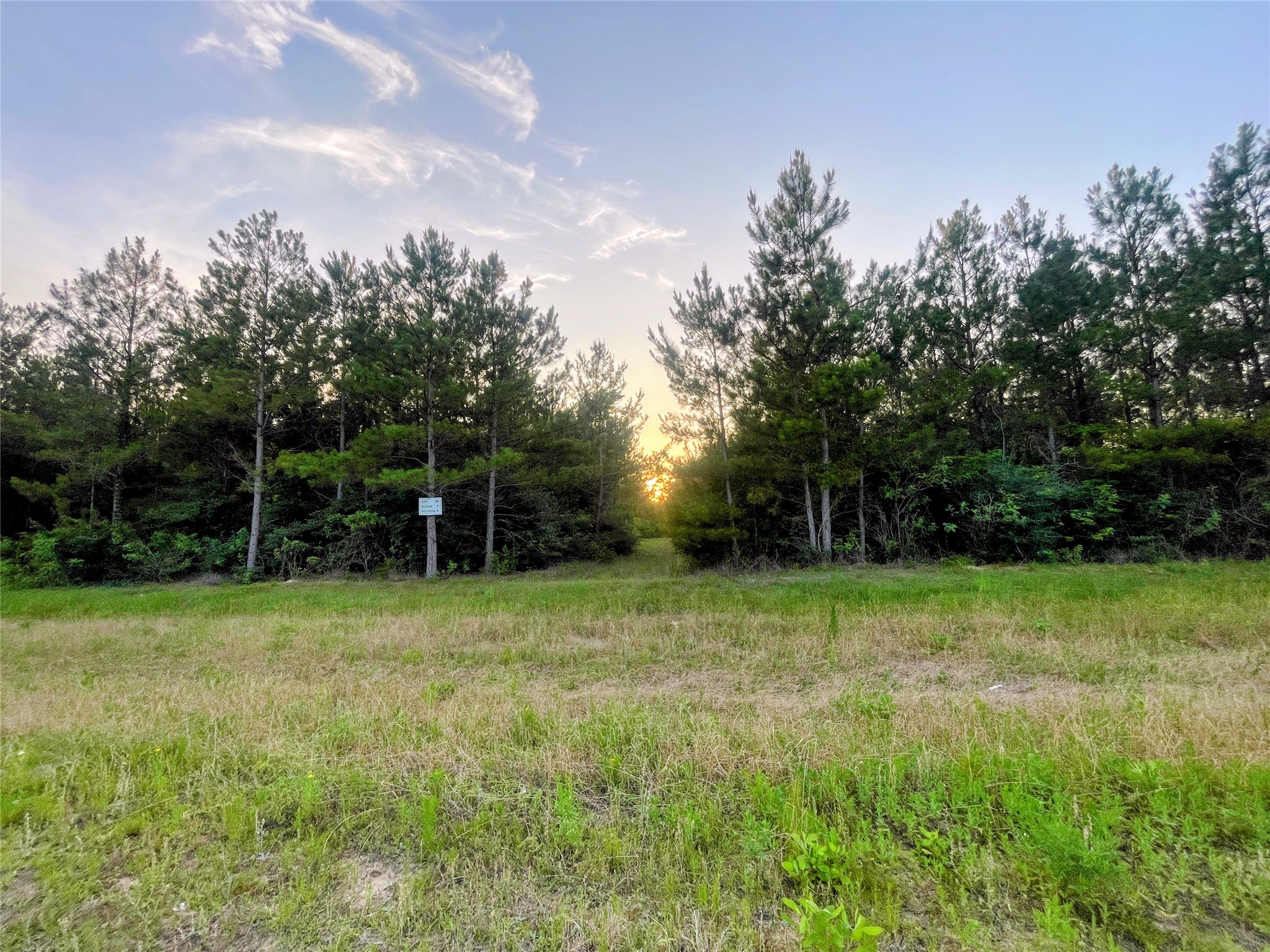 15705 Ridge Rock Road Willis, TX 77378 - Photo 8 of 13 Enjoy sunsets from your back porch