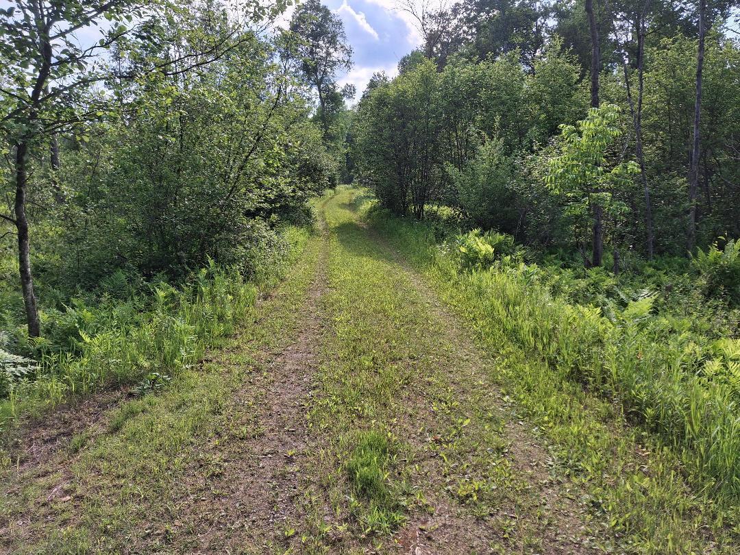 6897 Riverside Road Evart, MI 49631 - Photo 1 of 5 MUSKEGONRIVER 6 LEO