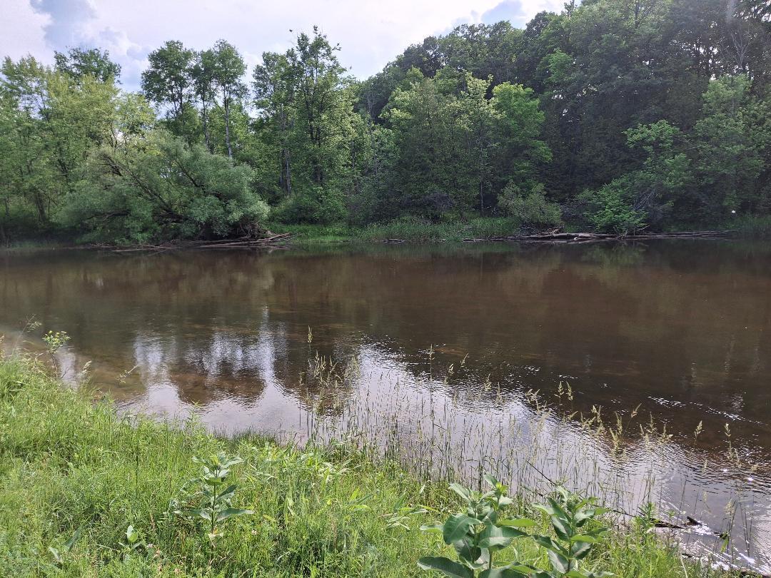 6897 Riverside Road Evart, MI 49631 - Photo 2 of 5 MUSKEGON RIVER 5 LEO