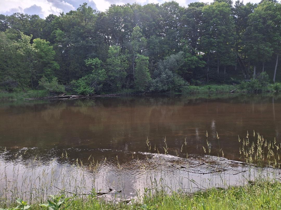 6897 Riverside Road Evart, MI 49631 - Photo 4 of 5 MUSKEGON RIVER 4 LEO