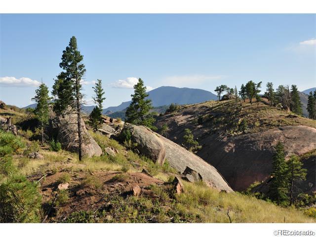 28422 Eagles Gate Road Pine, CO 80470 - Photo 1 of 9 Gallery Image 1