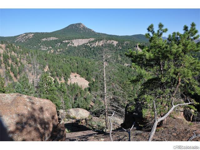 28422 Eagles Gate Road Pine, CO 80470 - Photo 3 of 9 Gallery Image 3