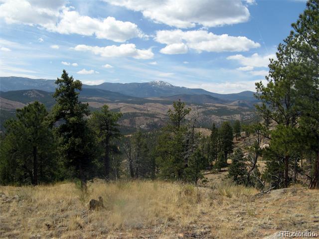 28422 Eagles Gate Road Pine, CO 80470 - Photo 5 of 9 Gallery Image 5