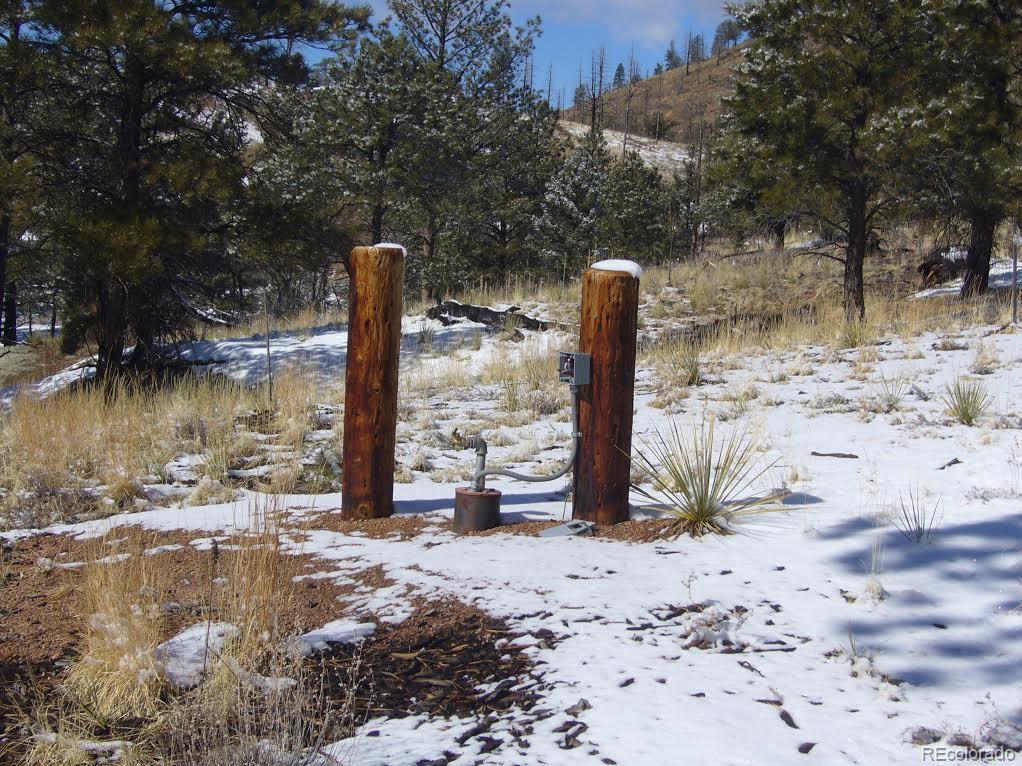 28422 Eagles Gate Road Pine, CO 80470 - Photo 9 of 9 Gallery Image 9