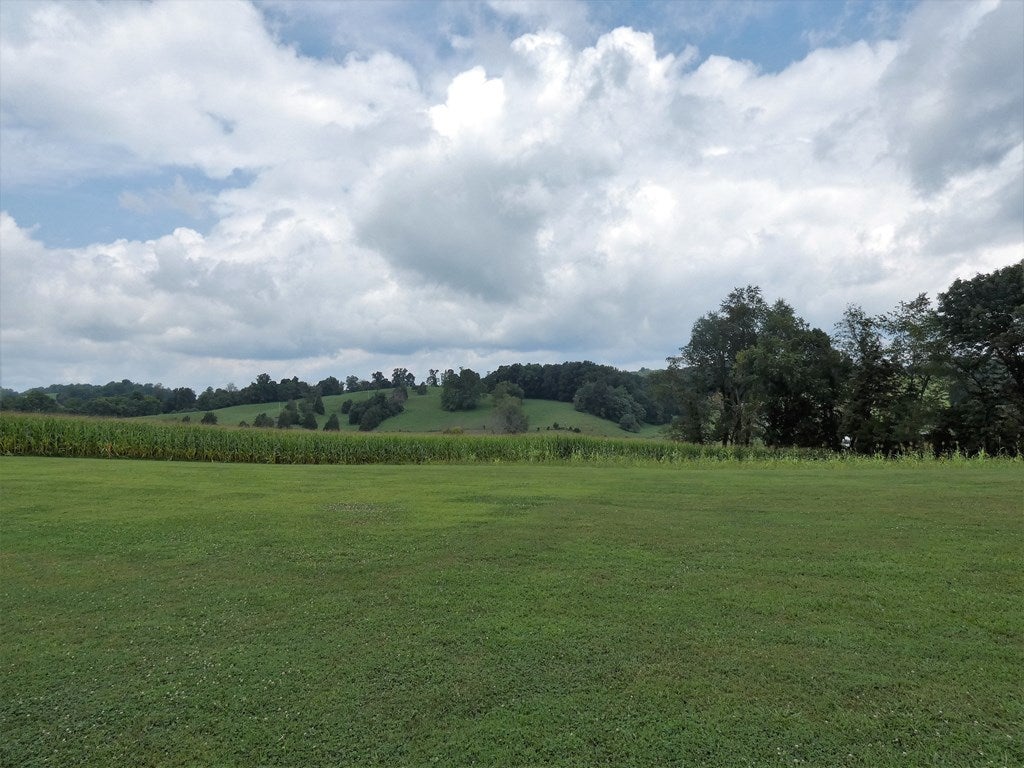 Tbd Loves Mill Road Chilhowie, VA 24319 - Photo 3 of 10 Gallery Image 3