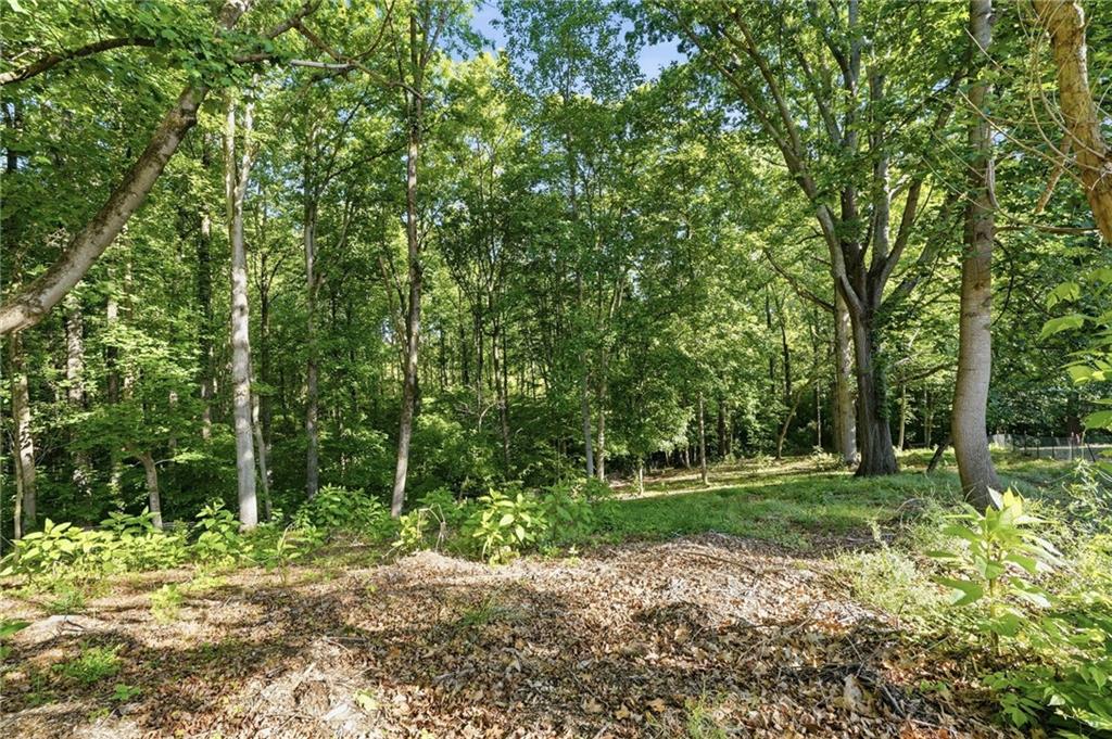 3535 Dr Bramblett Road Cumming, GA 30028 - Photo 84 of 91