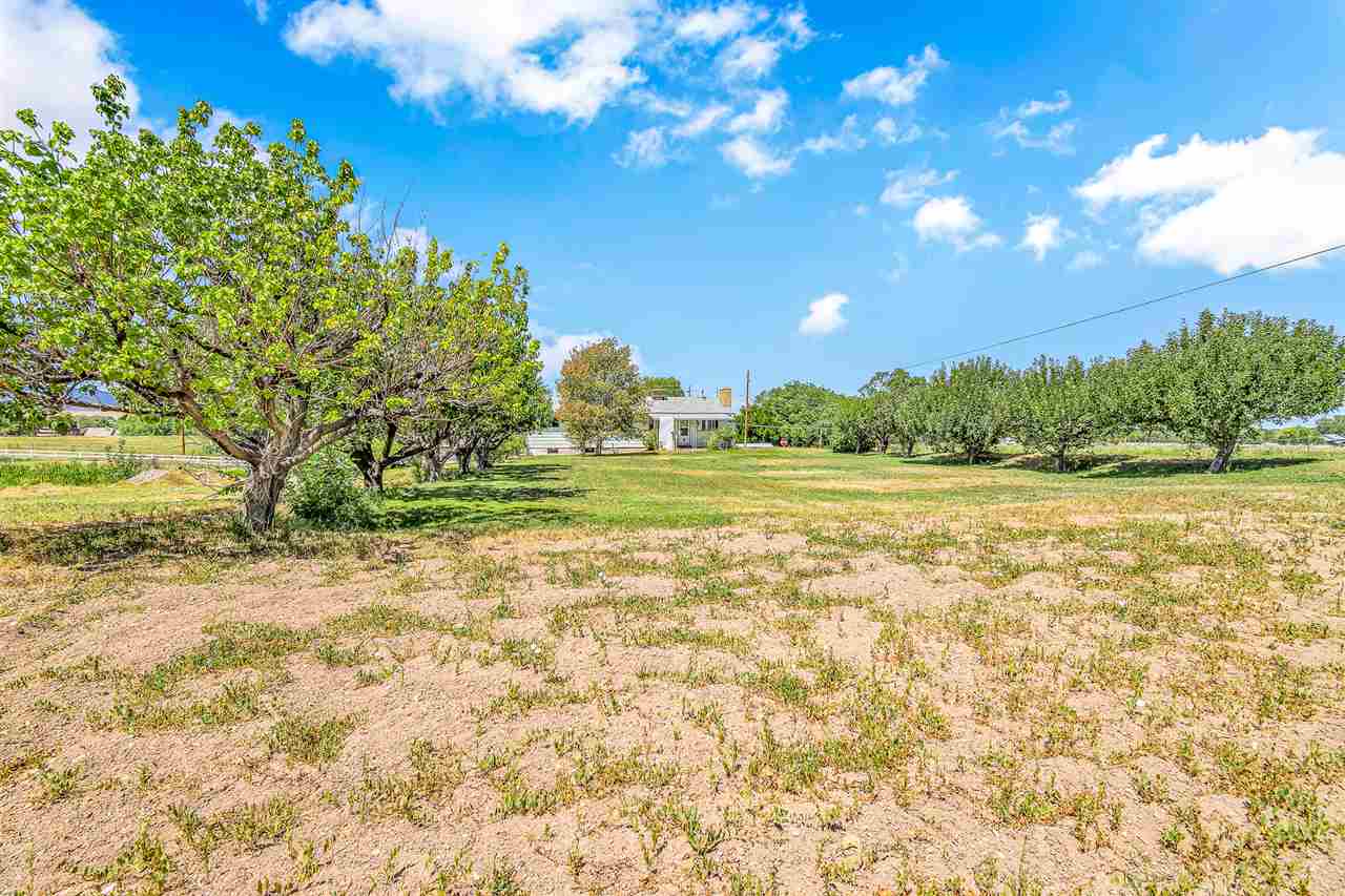 222 30 Road Grand Junction, CO 81503 - Photo 1 of 31 Gallery Image 1