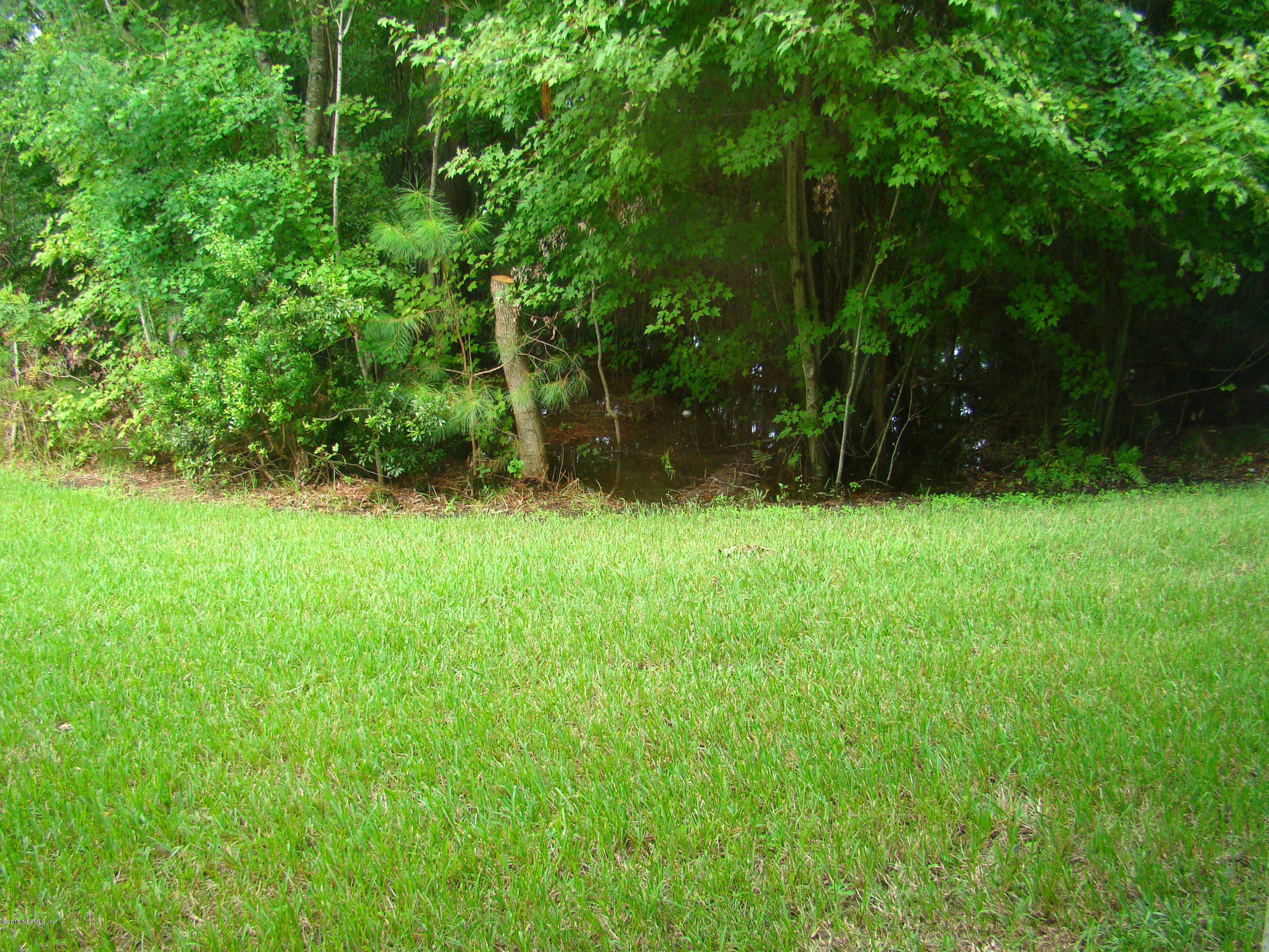 7920 Merrill Road, Unit 1504 Jacksonville, FL 32277 - Photo 11 of 12 a view of garden with trees