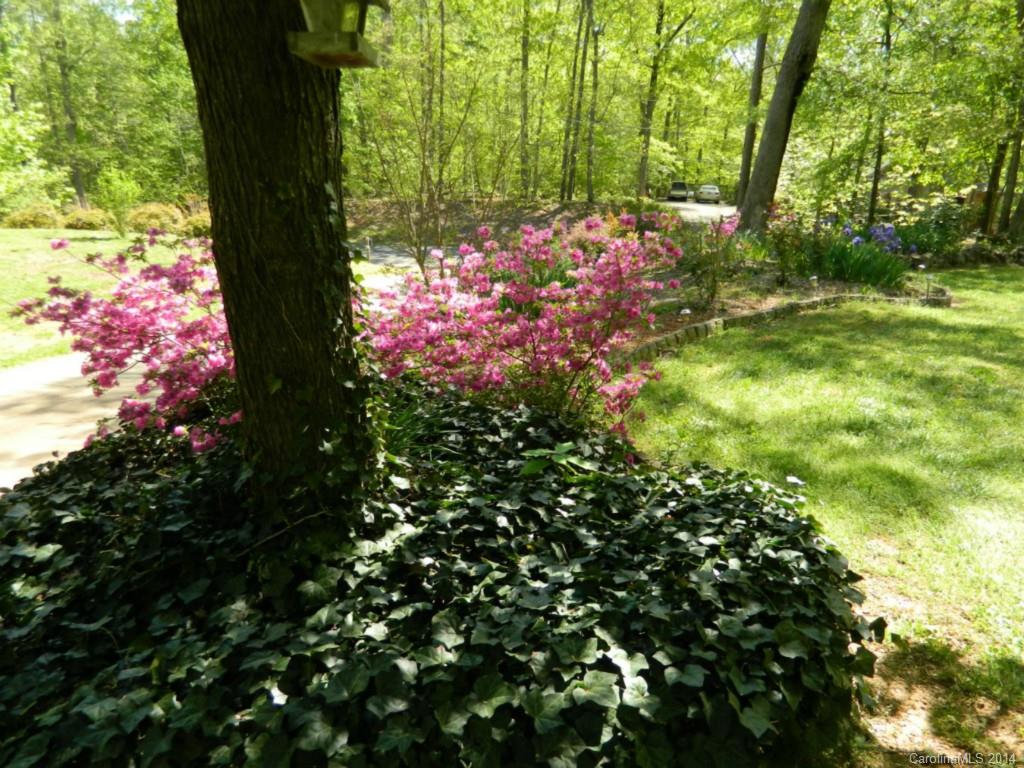 494 Oak Road Norwood, NC 28128 - Photo 4 of 24 Gallery Image 4