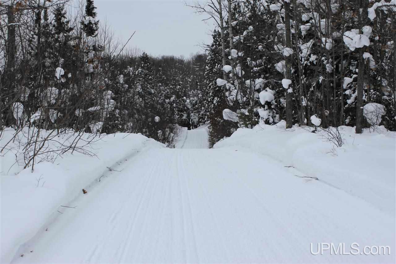 Tbd Emily Lake Road Toivola, MI 49965 - Photo 33 of 36 Gallery Image 33