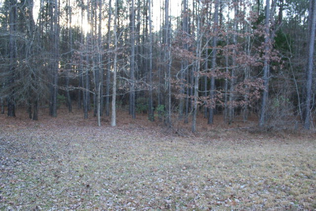 3594 Moon Mist Road Appling, GA 30802 - Photo 13 of 15