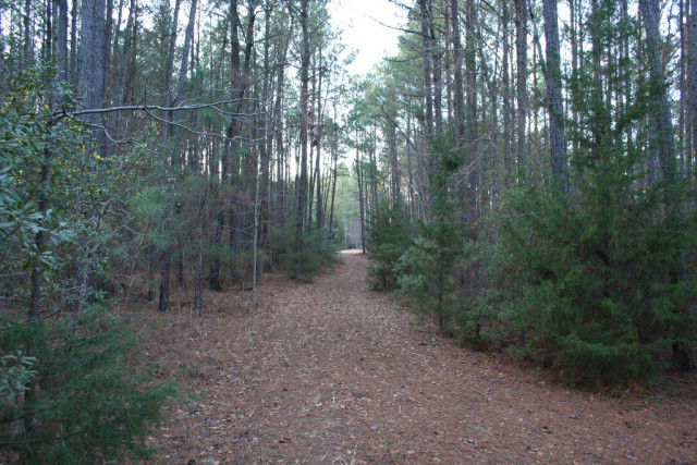3594 Moon Mist Road Appling, GA 30802 - Photo 9 of 15