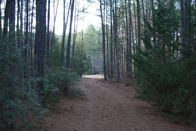 3594 Moon Mist Road Appling, GA 30802 - Photo 10 of 15