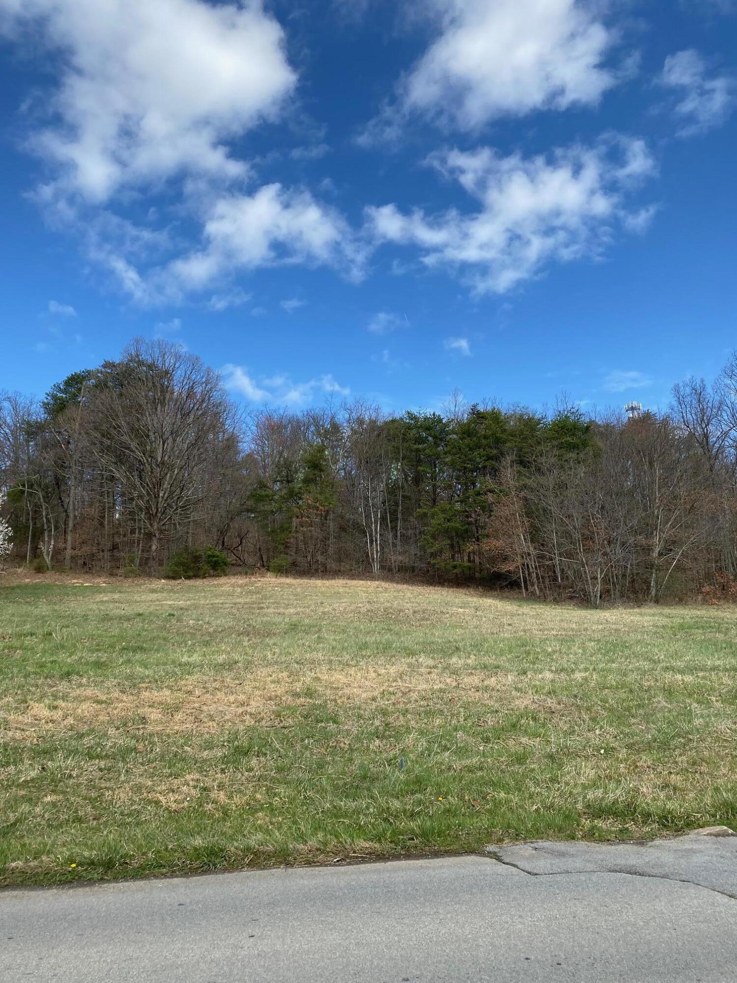 0 West Vann Road, Unit 9A Greeneville, TN 37743 - Photo 1 of 2 Warner WVann Lot 9Aa