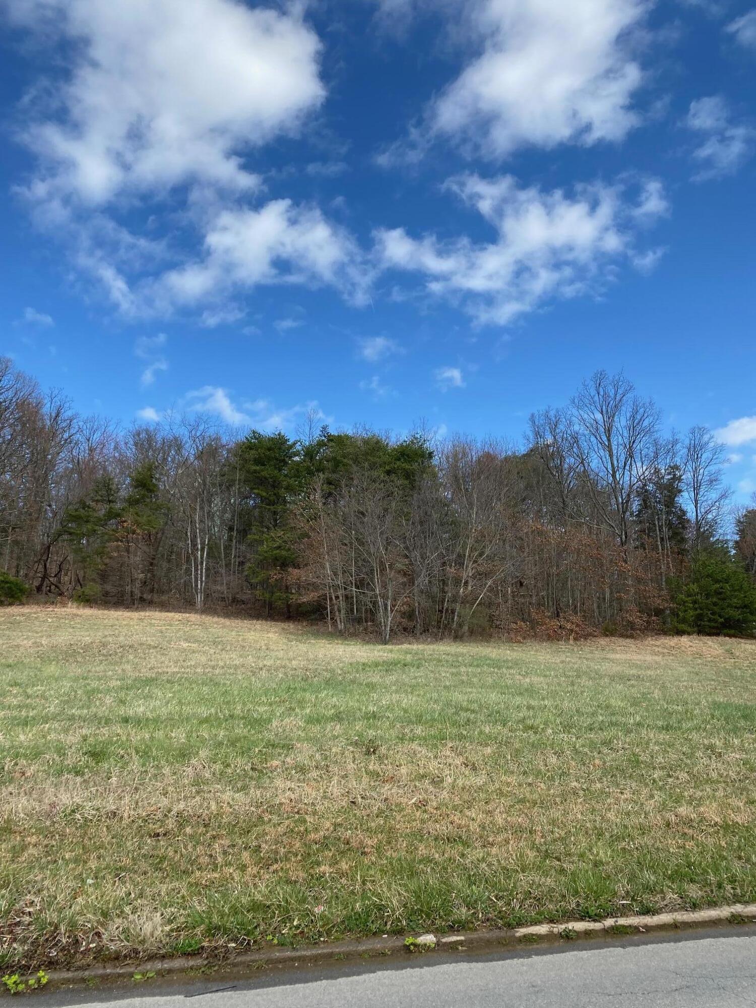 0 West Vann Road, Unit 9A Greeneville, TN 37743 - Photo 2 of 2 Warner WVann Lot 9Ab