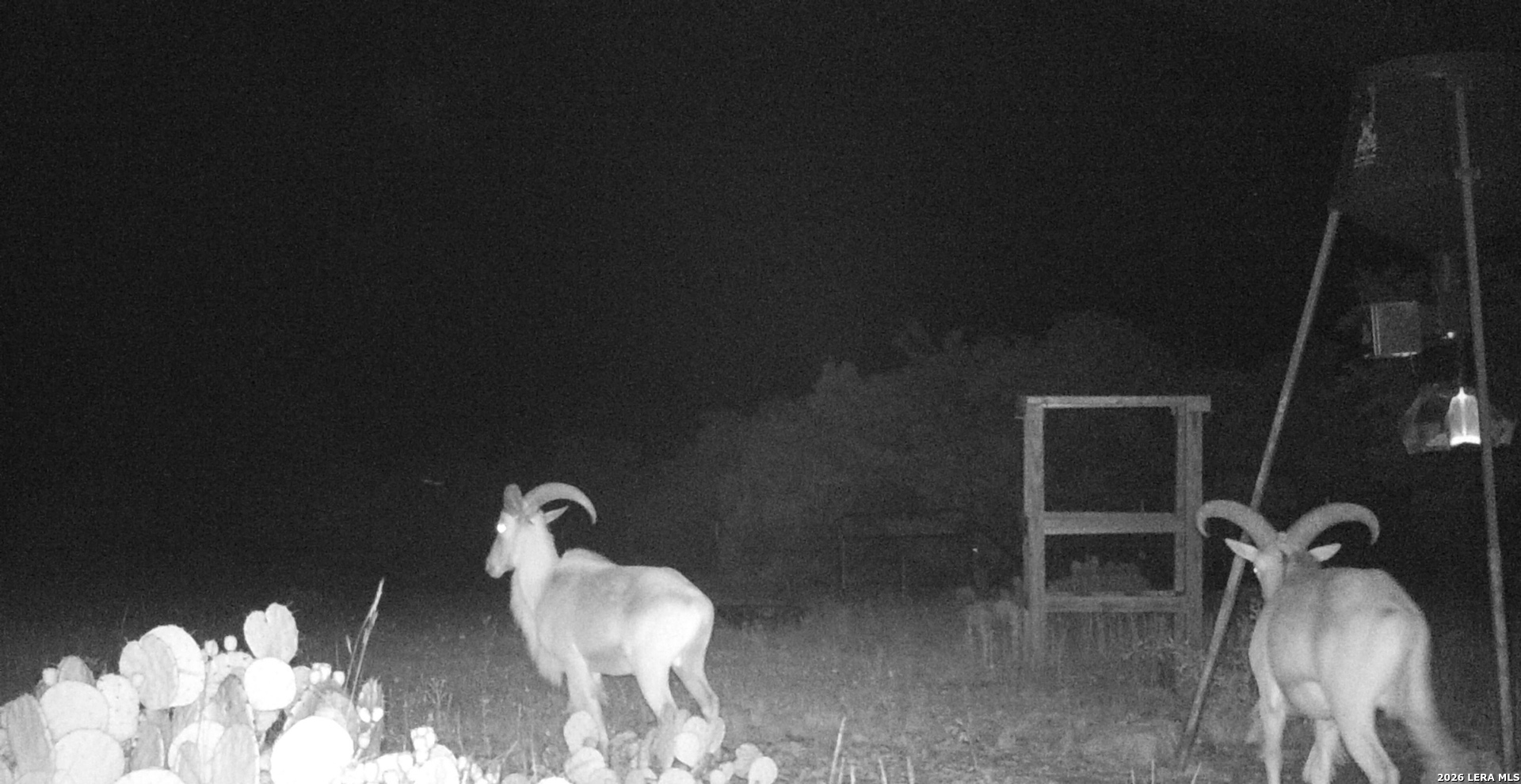 195 SD 45190 Rocksprings, TX 78880 - Photo 10 of 48