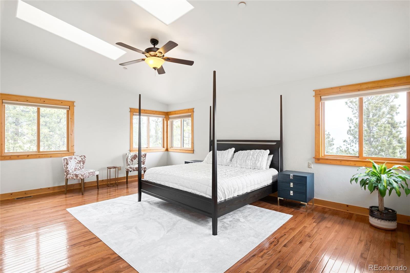 229 Mohawk Trail Pine, CO 80470 - Photo 28 of 50