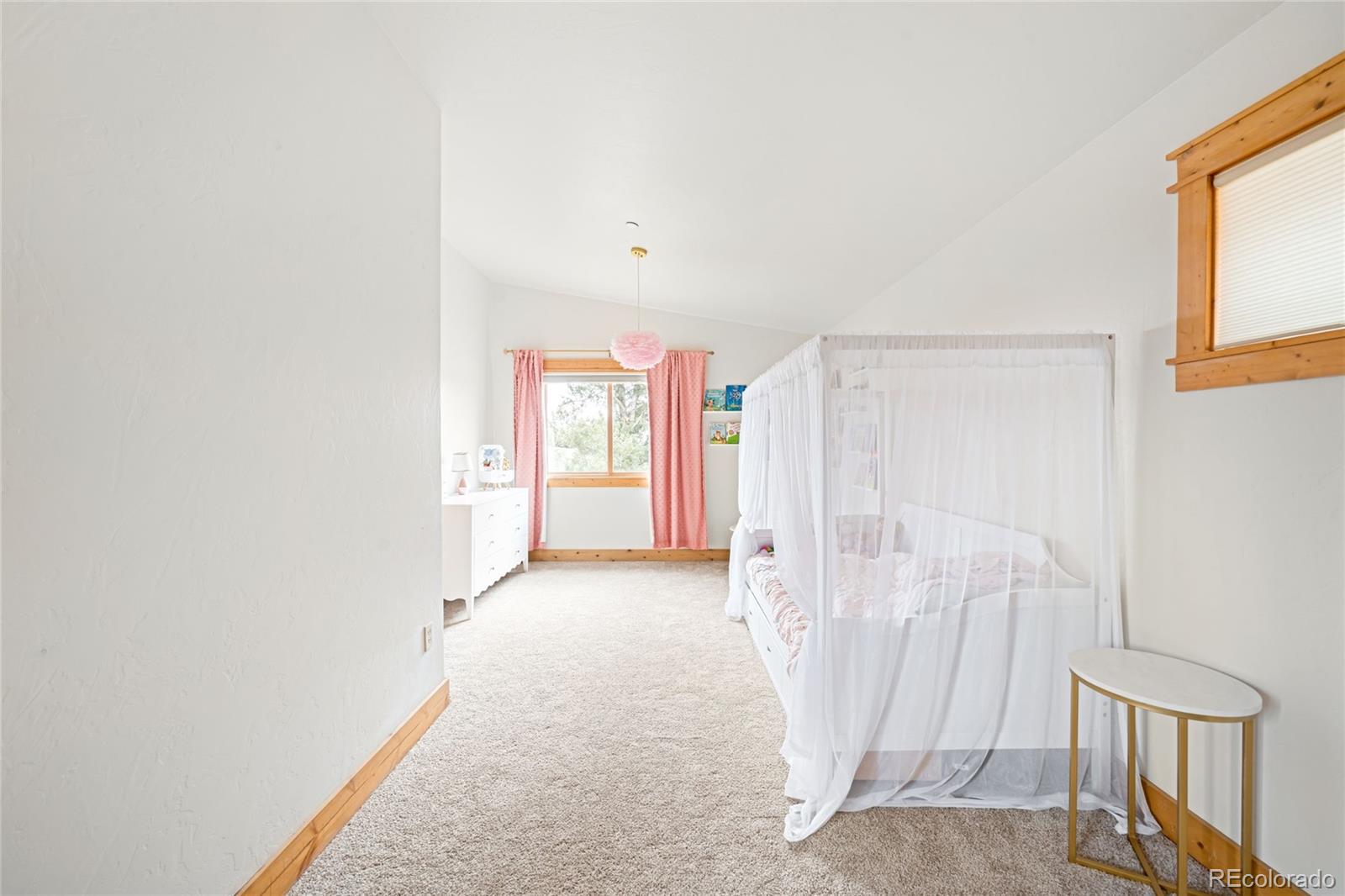 229 Mohawk Trail Pine, CO 80470 - Photo 35 of 50