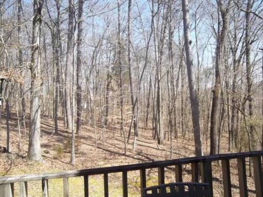 124 Mockingbird Lane Oak Ridge, TN 37830 - Photo 4 of 25 Additional Photo