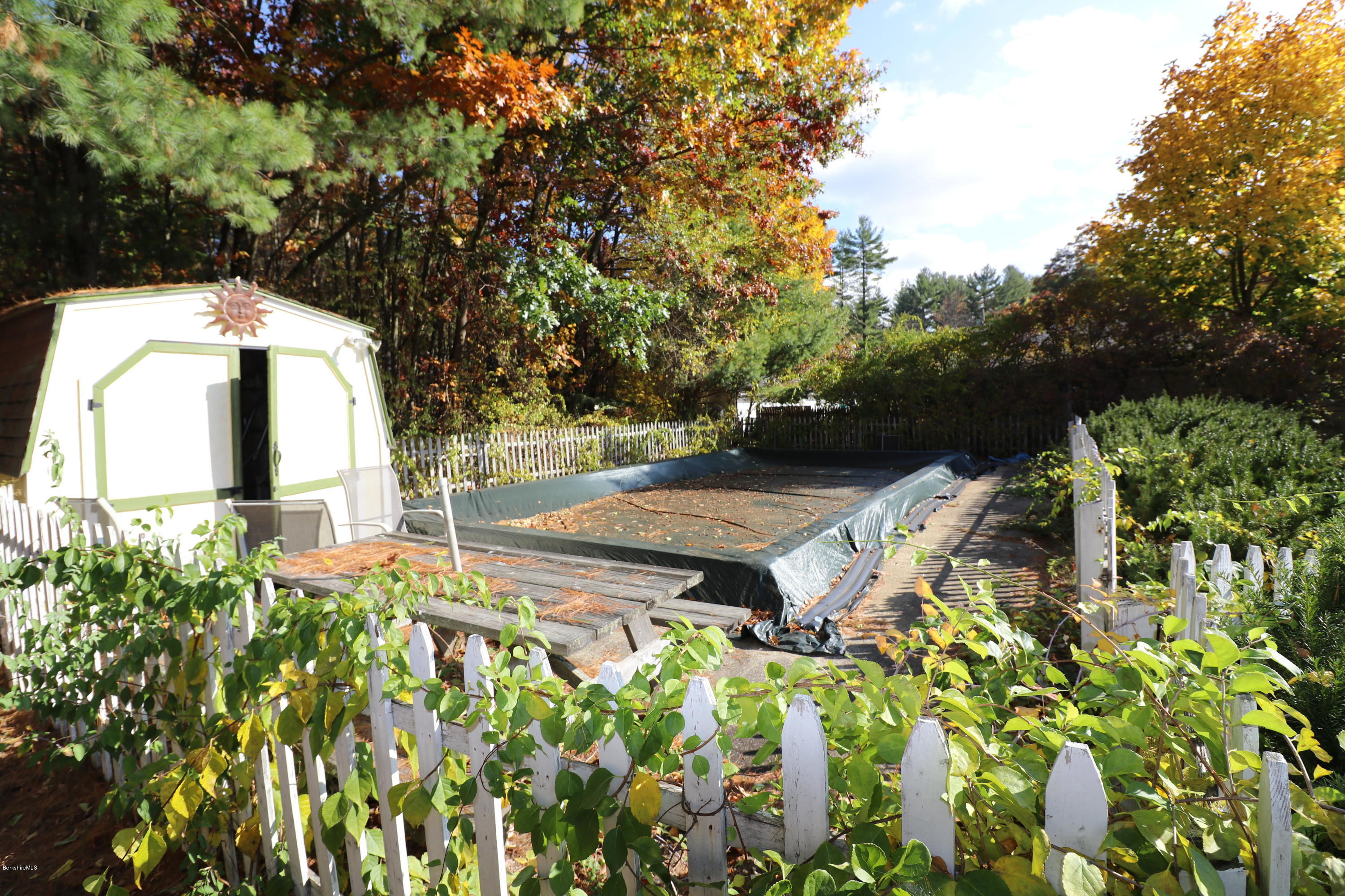 283 Clayton Road Sheffield, MA 01222 - Photo 6 of 19 Pool and Shed