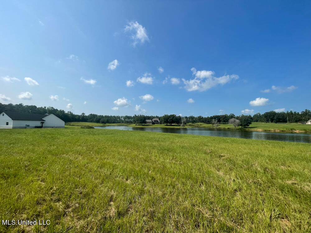 Lot 11 Conner Stringer Drive Lucedale, MS 39452 - Photo 51 of 54 IMG_2323