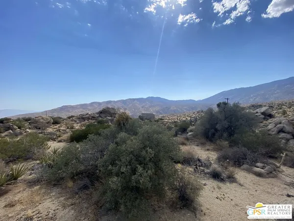 a view of a forest with mountains in the background