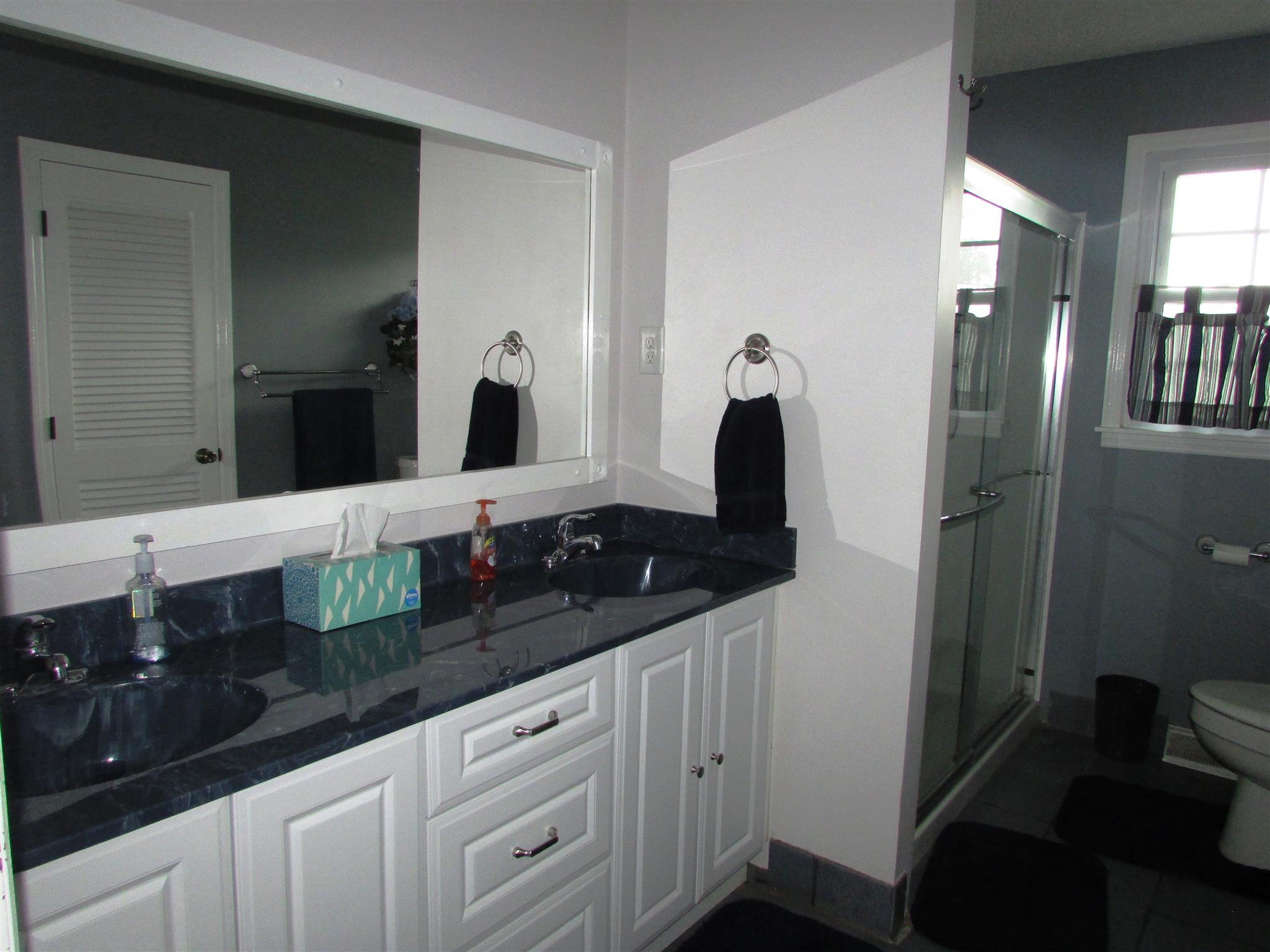 745 New Hope Road Alexandria, TN 37012 - Photo 15 of 30 Double vanity full bath.